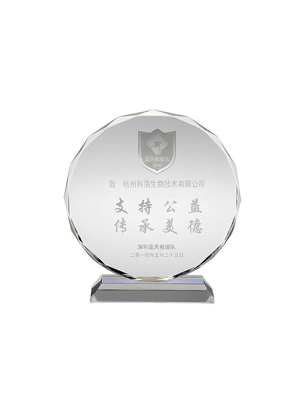 藍天救援隊公益證書