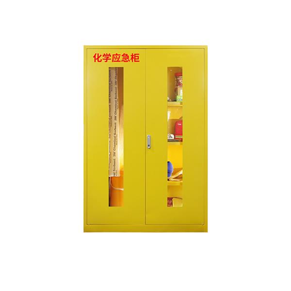 ZS-T-019B大型化學(xué)應(yīng)急柜